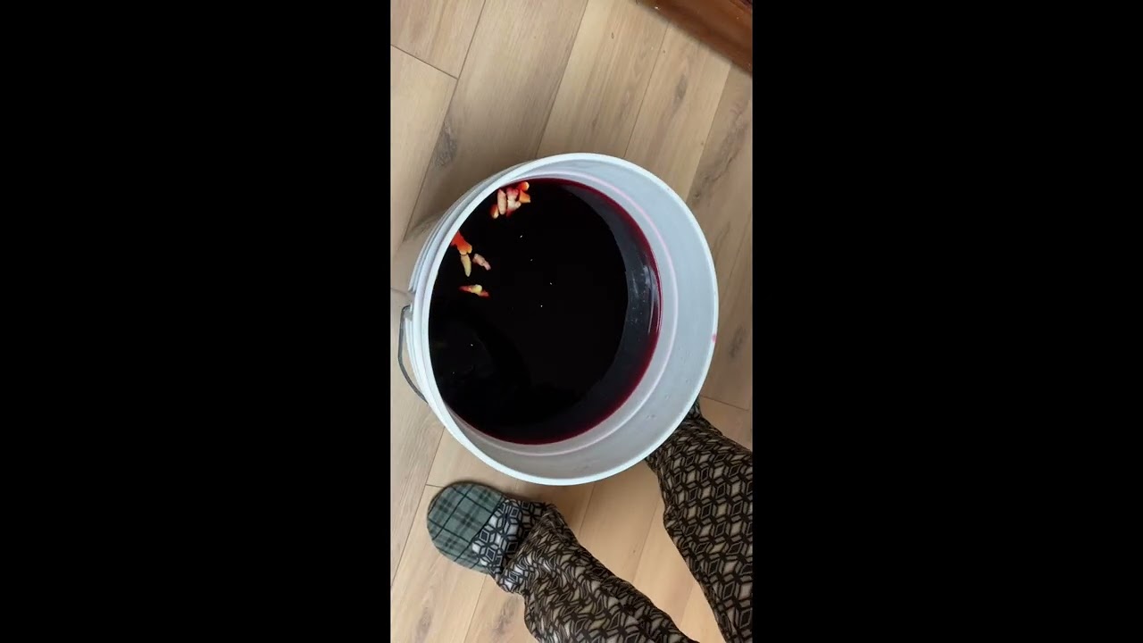 AVENTURE VINICOLE 🍷 - VIN D’HIBISCUS (hibiscus wine) Partie 1