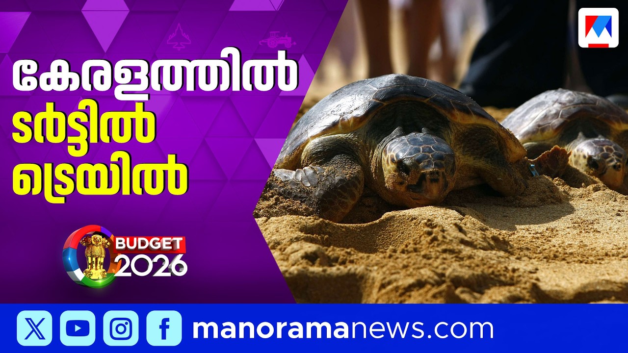 കേരളത്തില്‍ ആമകള്‍ പ്രജനനം നടത്തുന്ന മേഖലകള്‍ ഉള്‍പ്പെടുത്തി ടൂറിസം പദ്ധതി | Union Budget 2026