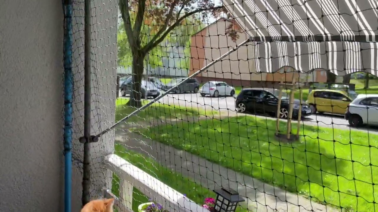 aus Miniloggia wird Katzenbalkon 😸