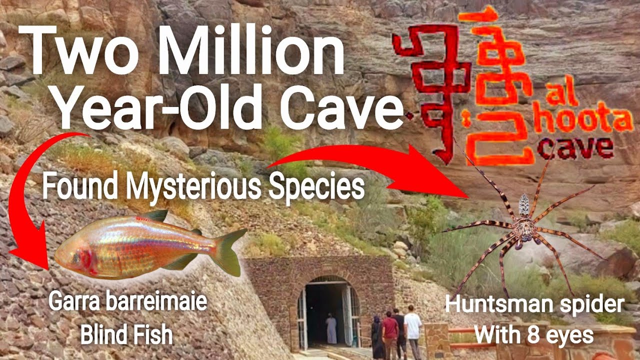 Exploring The Mystery Of Al Hoota Cave In Oman