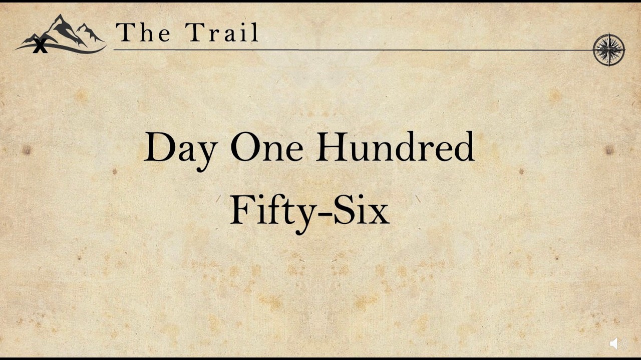 Day 156