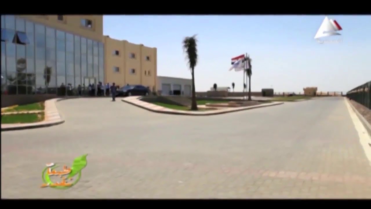 مجزر الدقهلية للدواجن_كتكوت العنانى dakahliapoultry