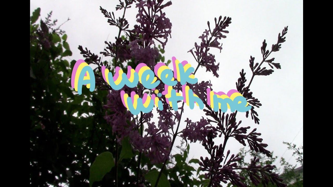 🌸 [ summer vlog 2020 #2 ] 🌸