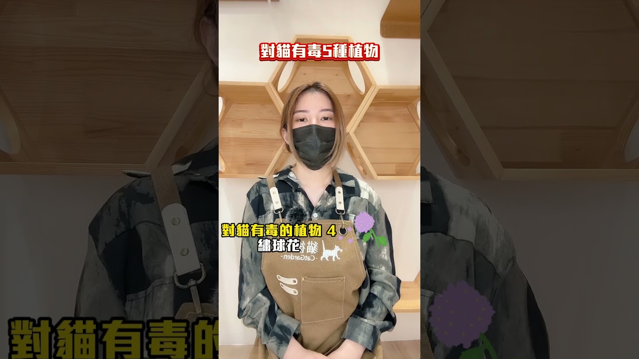 注意！這些植物竟然會毒害貓咪，養貓家庭必看
