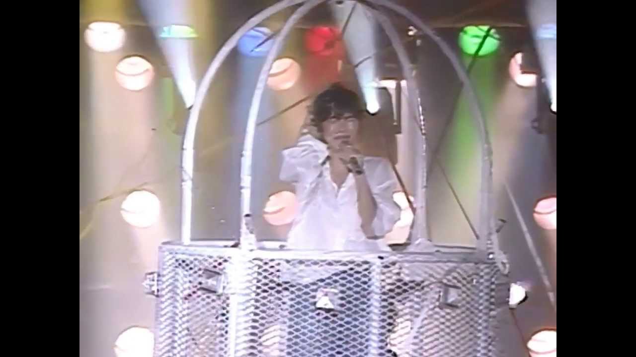 石川秀美 LIVE1987「ゆ・れ・て湘南 」「サンデイズ・パーク 」