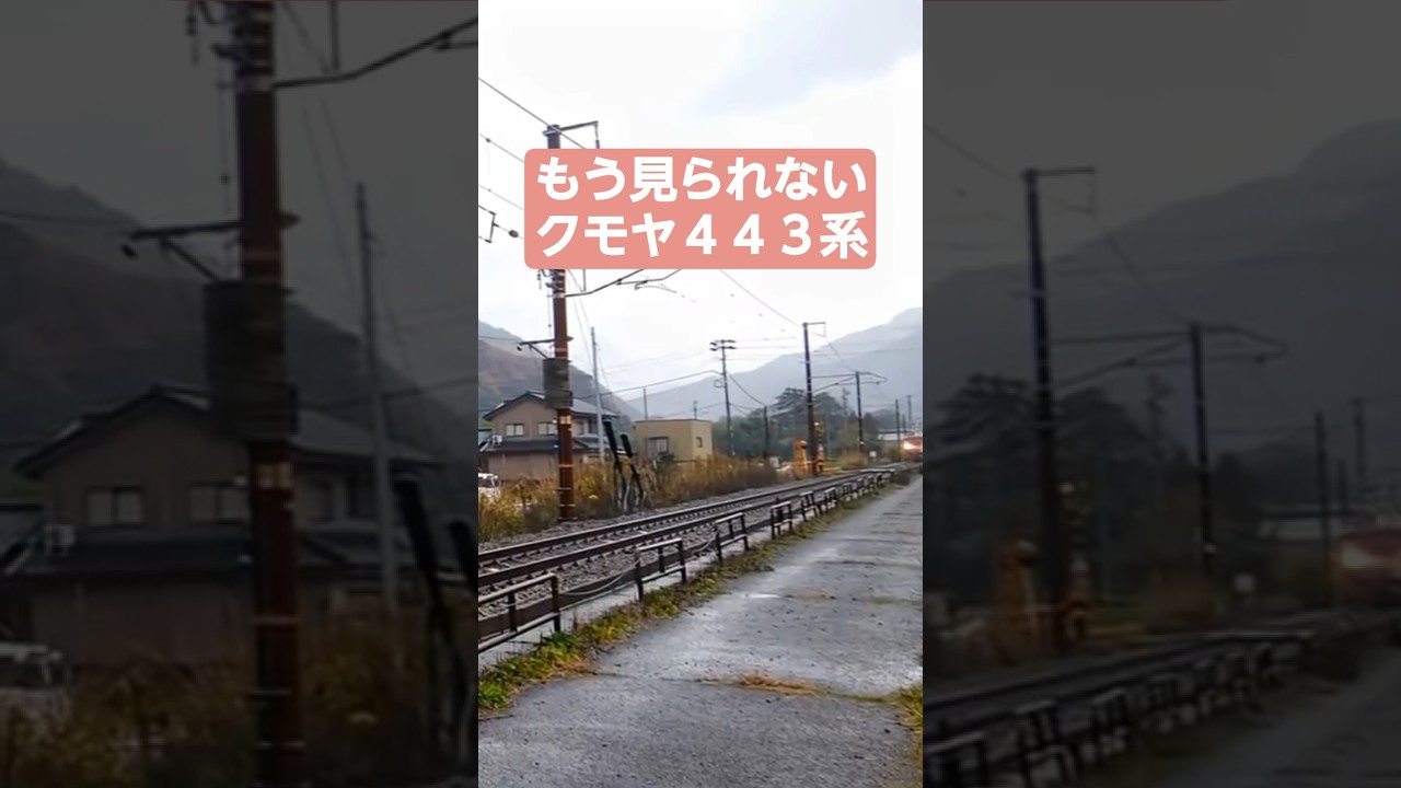 【クモヤ４４３系】国鉄色もデザインも可愛い#鉄道 #鉄道博物館