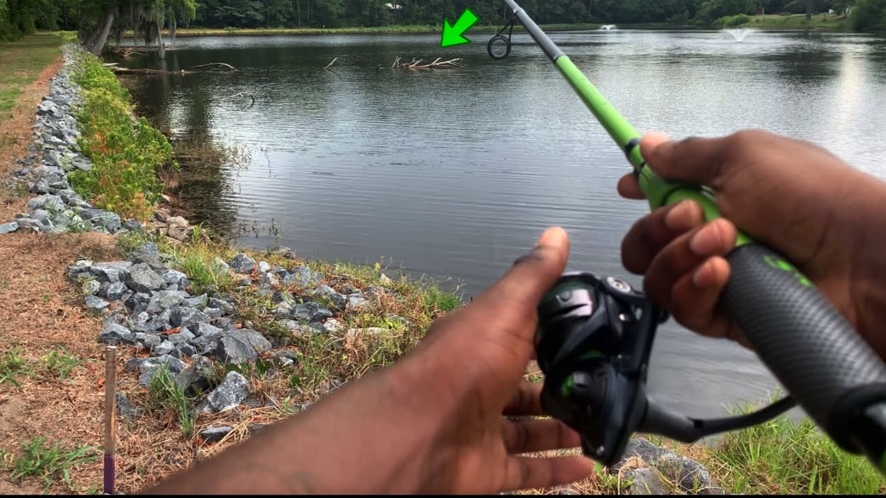 Bank fishing with BIG WORMS! (Shaky head Edition | Crazy Bites!!!)