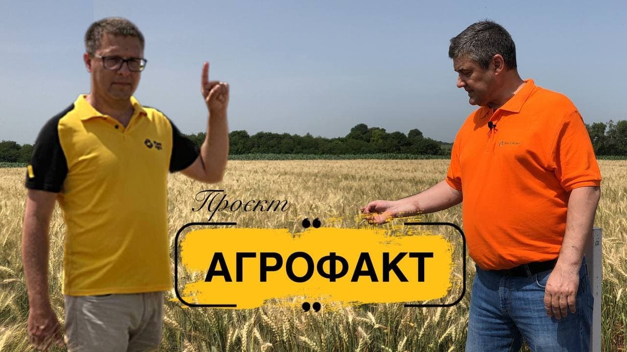 АГРОФАКТ / Що треба знати про озиму пшеницю та ячмінь від Рост Агро