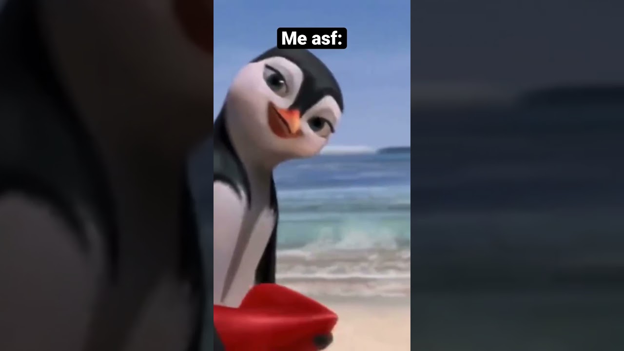 🌊🐧#surfsup #surf #youtube #youtubeshorts #comedy #funny #fyp #foryou
