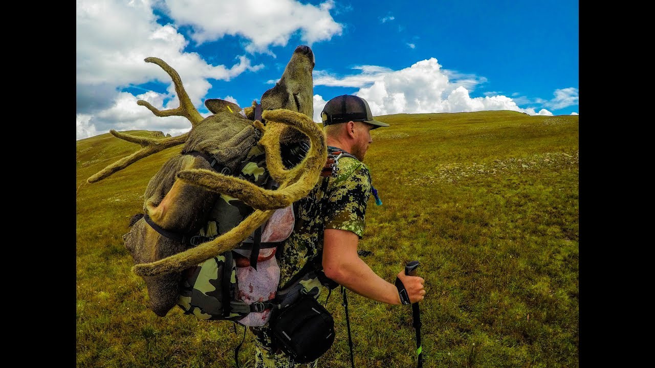 Colorado Archery High Country Deer Hunt // Sacred