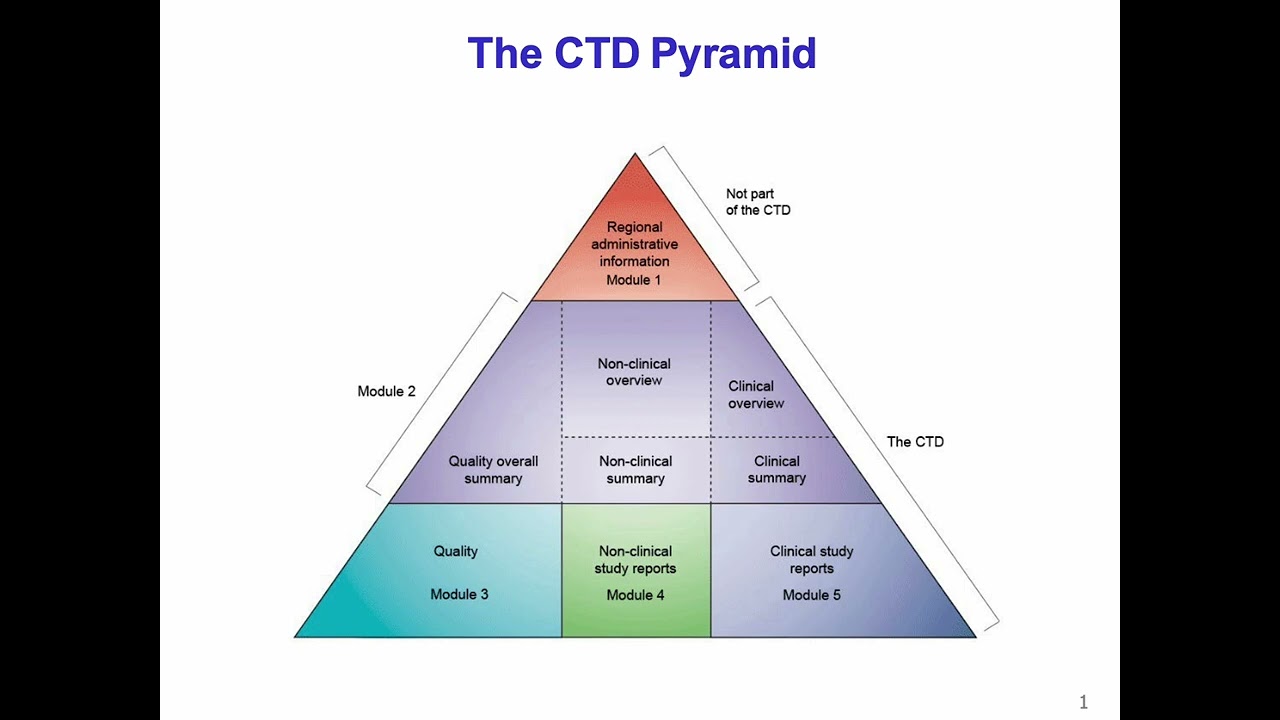 eCTD Module 1: FDA, EMA, and Japan Requirements | ICH M4 Guidelines by Peivand Pirouzi, Ph.D