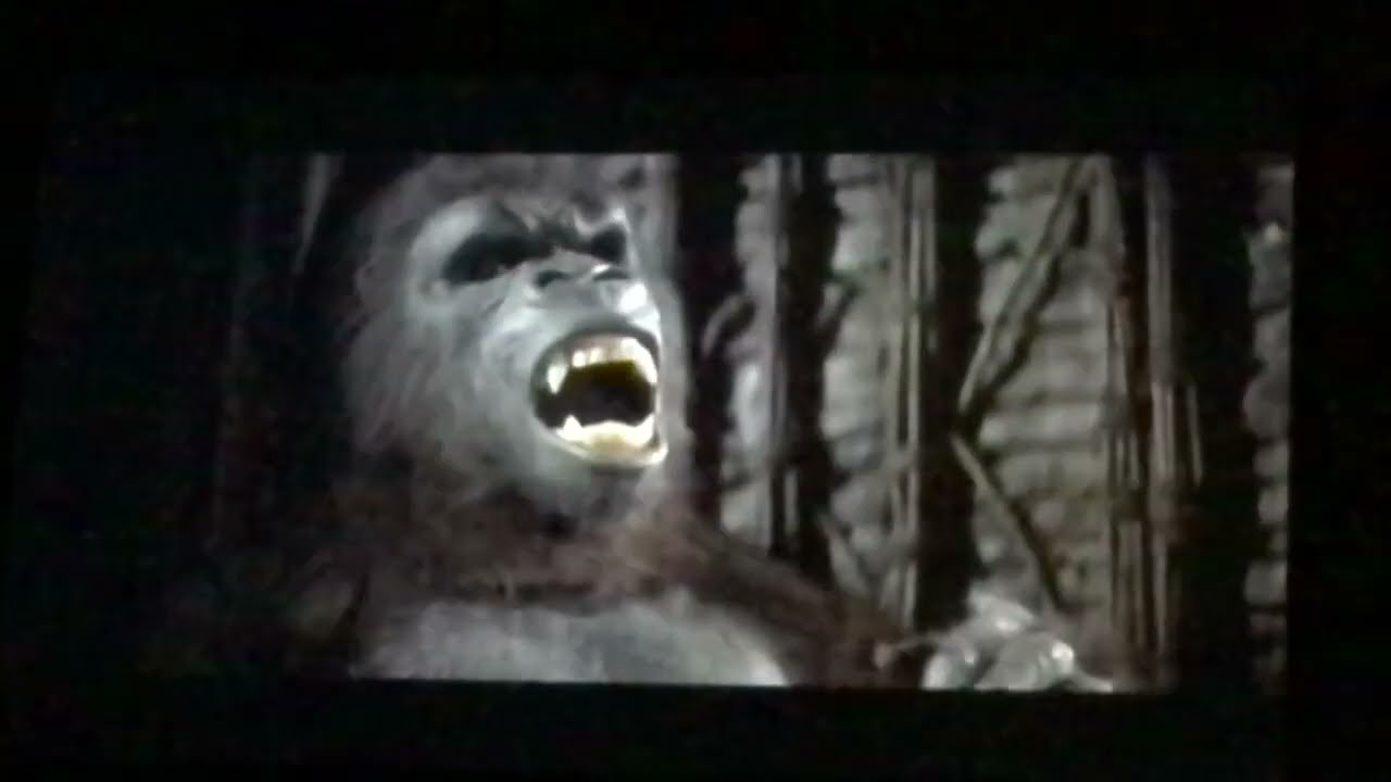 King Kong 1976 ( King Kong in trapped )