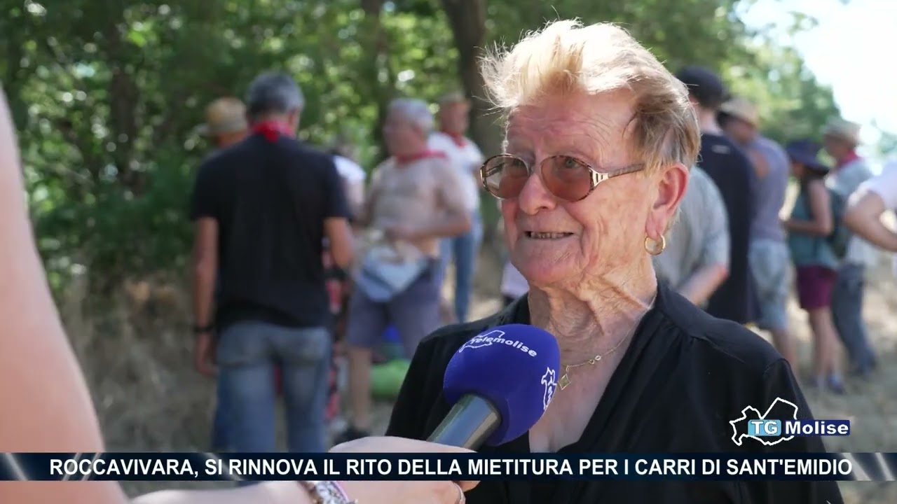 Roccavivara, si rinnova il rito della mietitura per i carri di Sant'Emidio