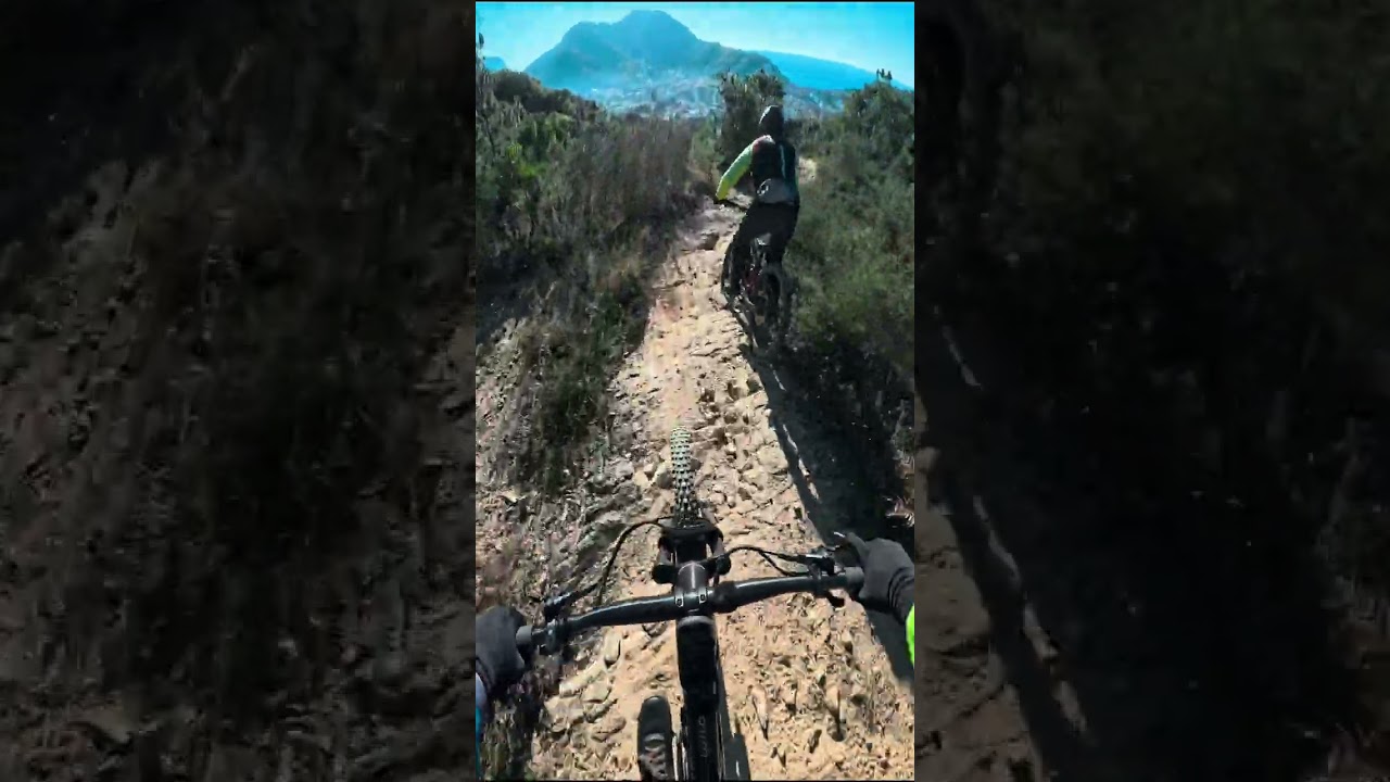 Mimose trail - Sestri Levante 