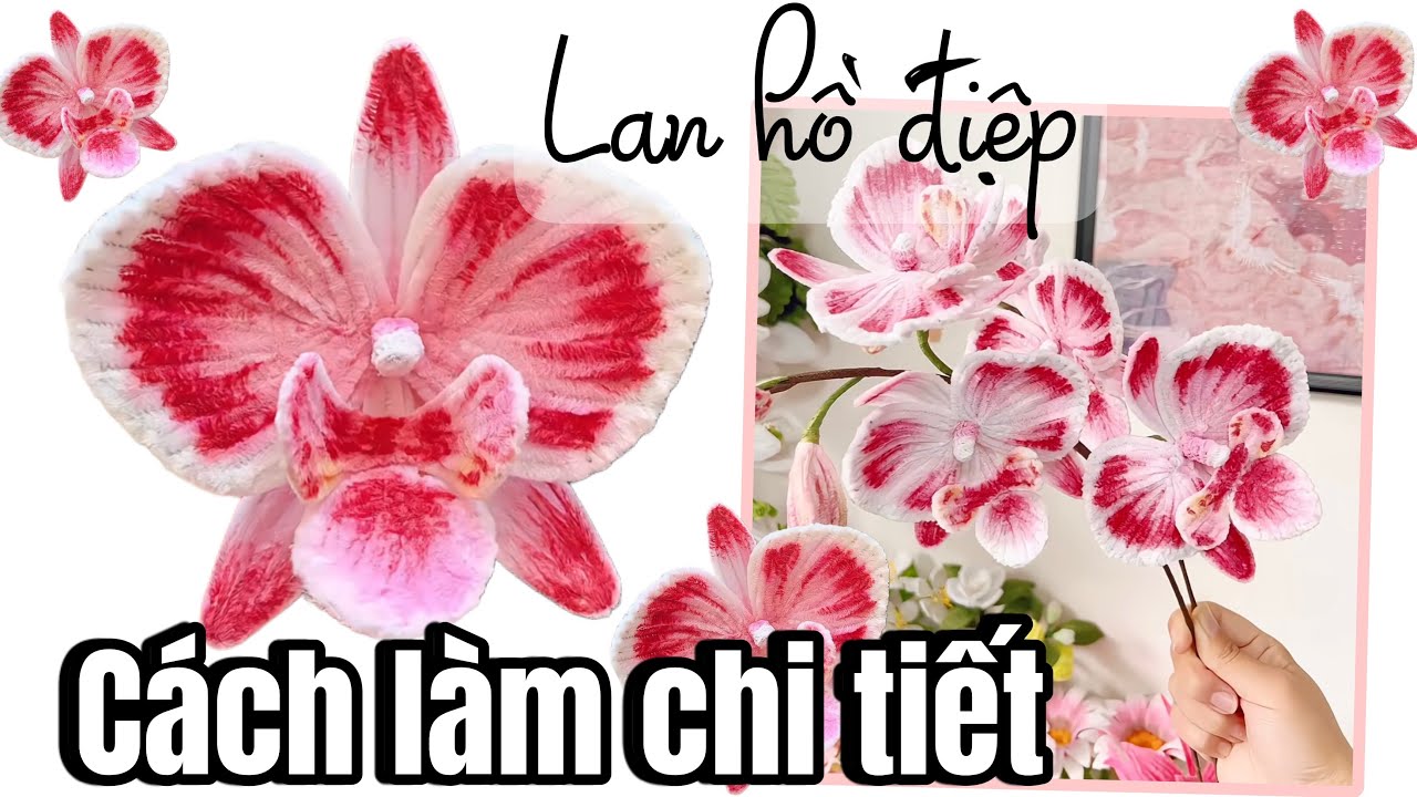 Cách làm hoa lan hồ điệp bằng kẽm nhung chi tiết #diy #handmade 