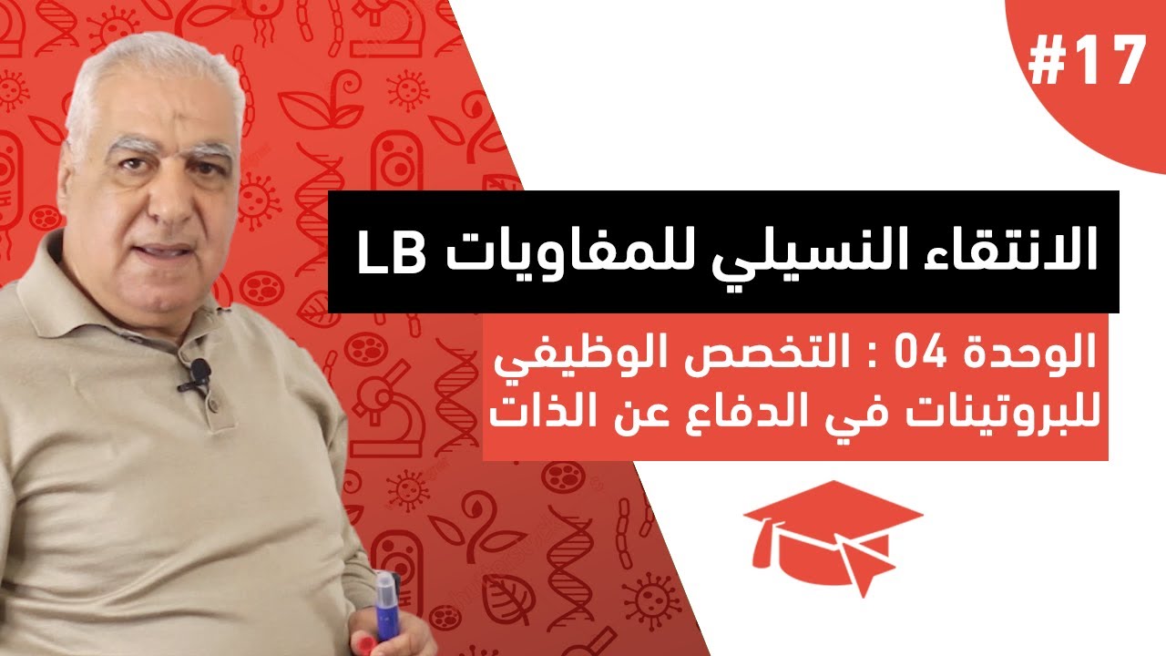 #17 الانتقاء النسيلي للمفاويات LB ( الجزء الثاني )