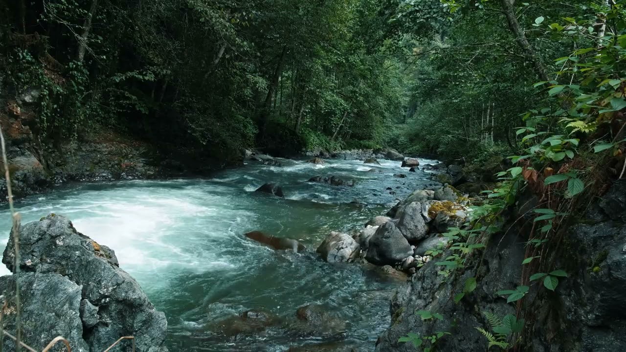 NATURE IN ATAKÖY-TÜRKIYE | الطبيعة في اتاكوي-تركيا | ATAKÖY-TÜRKİYE'DE DOĞA