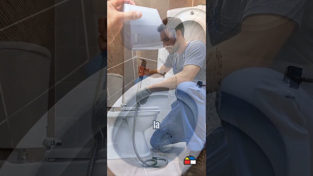 Consejos pr&aacute;cticos para destapar un inodoro f&aacute;cil y r&aacute;pido