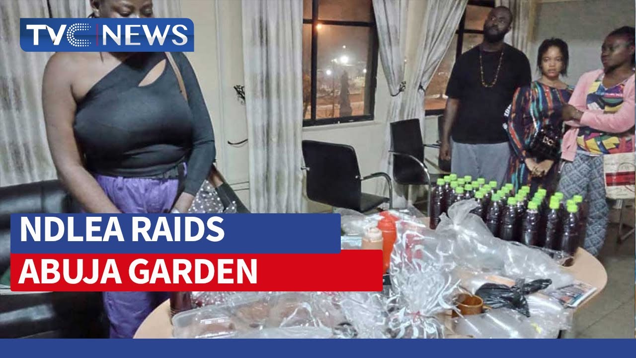 (VIDEO) NDLEA Raids Abuja Garden, Arrests 6 Over Drug Cookies, Noodles