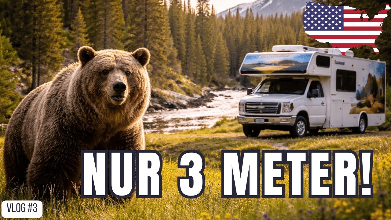 BÄR nur 3 Meter vom Camper entfernt 😱 | Yellowstone Nationalpark USA | Vlog #3