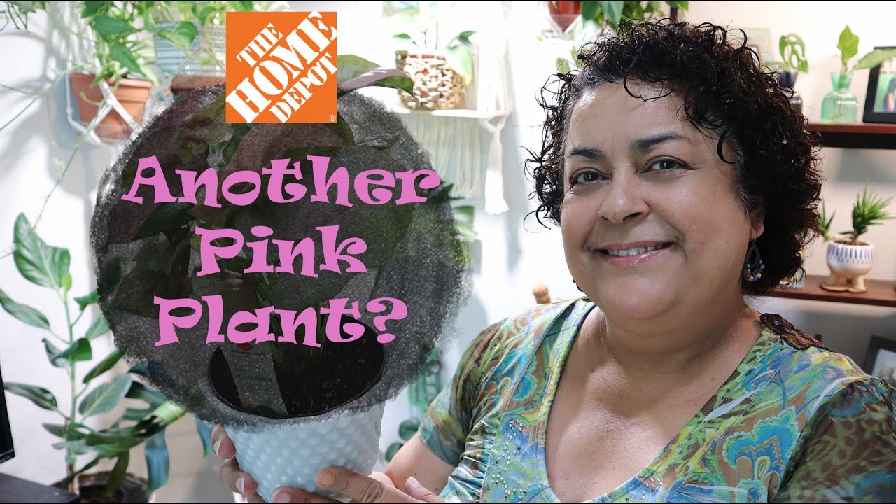 Home Depot Field Trip 🚗With Me and Plant Haul 🌱💚.