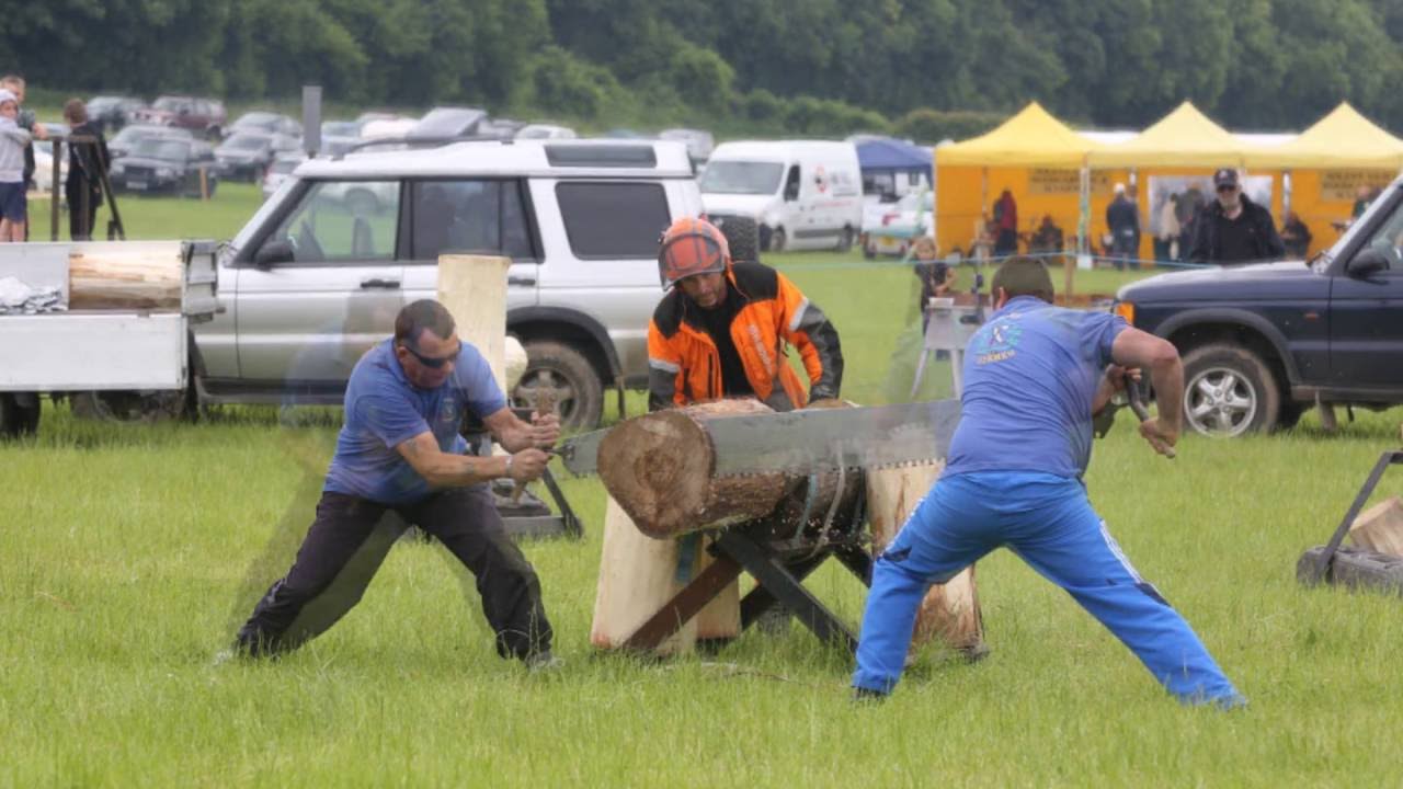 West's Wood Fair 2016