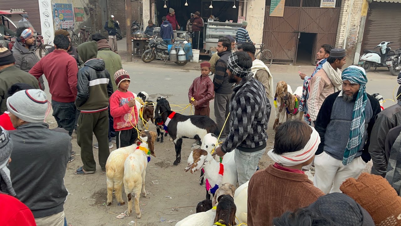 Meerut Friday Mandi 9 January 2026 #azharvlogs #shortvideo #goat #animals #youtubevideo #bakramandi 