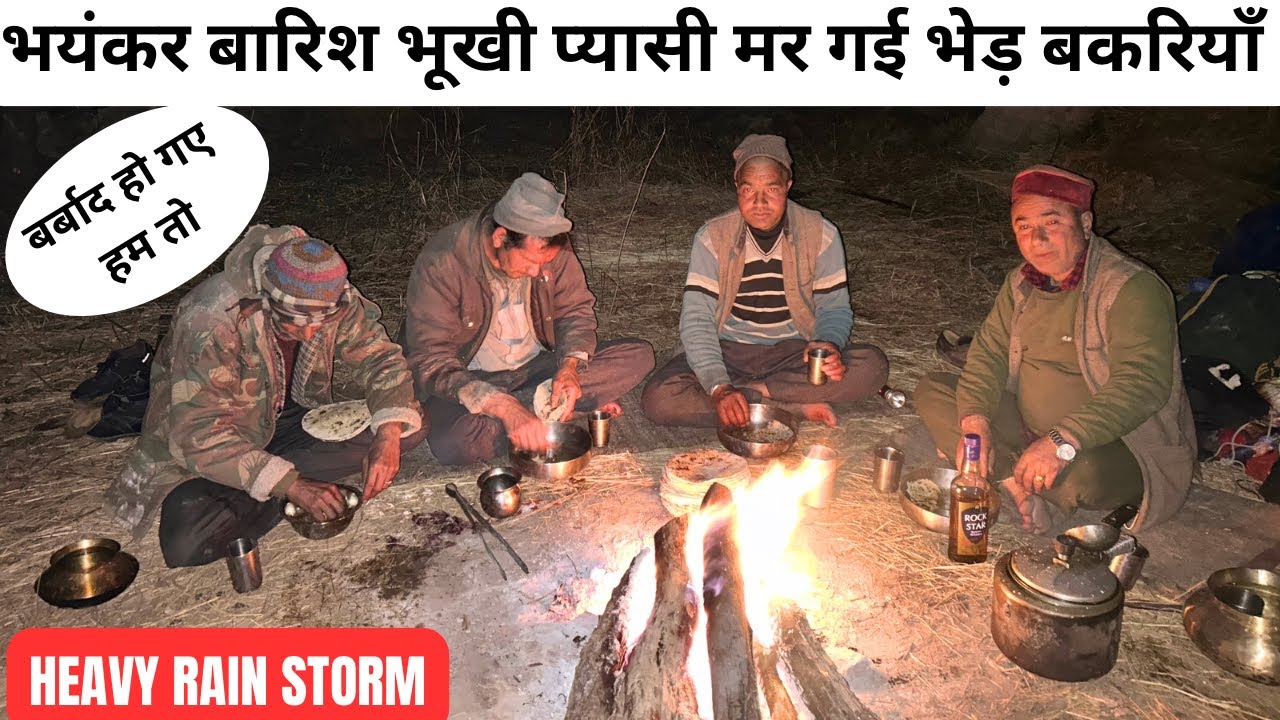 CAMPING IN HEAVY RAIN STORM ASMR अगर उस दिन बारिश ना रुकती तो भेड़ बकरियाँ भूखी प्यासी मर जाती ||