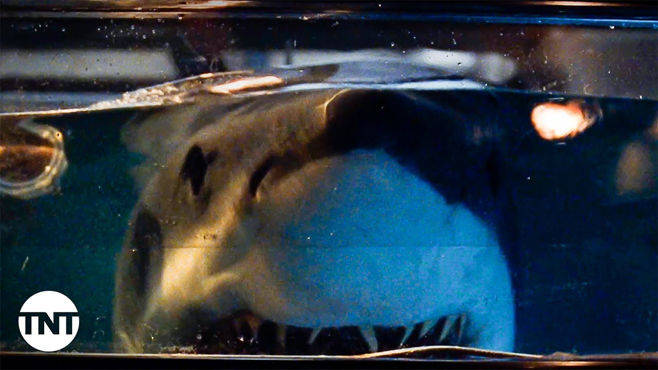 Preacher (LL Cool J) Defeats a Shark in His Kitchen [CLIP] | Deep Blue Sea | TNT