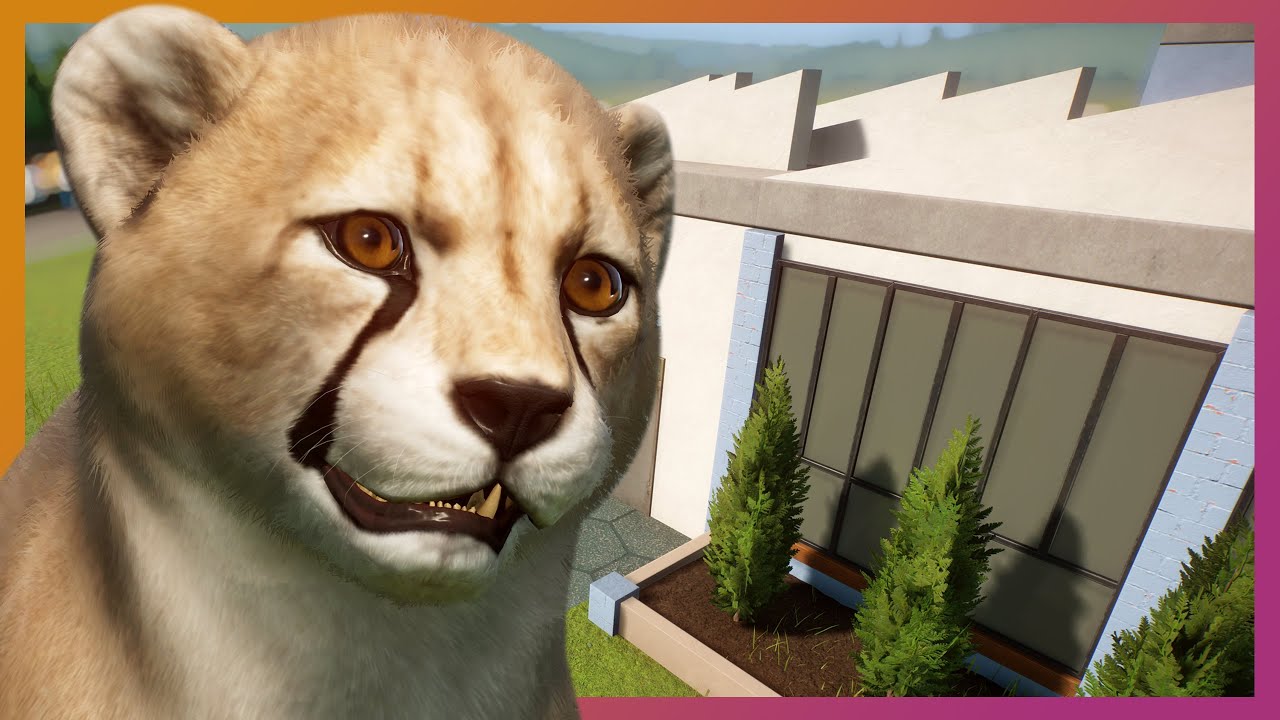 Cheetah Babies Galore! | Planet Zoo Franchise Mode