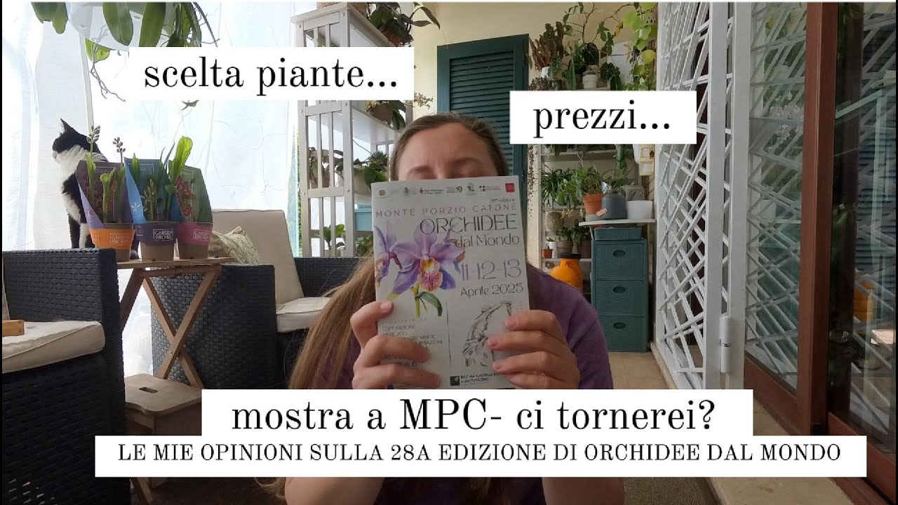 Impressioni su Orchidee dal Mondo. È ancora una mostra per appassionati di orchidee? I miei acquisti