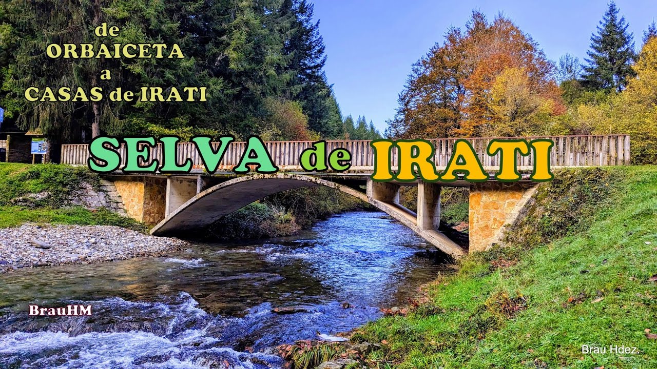 Selva de Irati en otoño. Ruta de senderismo por el segundo hayedo - abetal más grande de Europa.