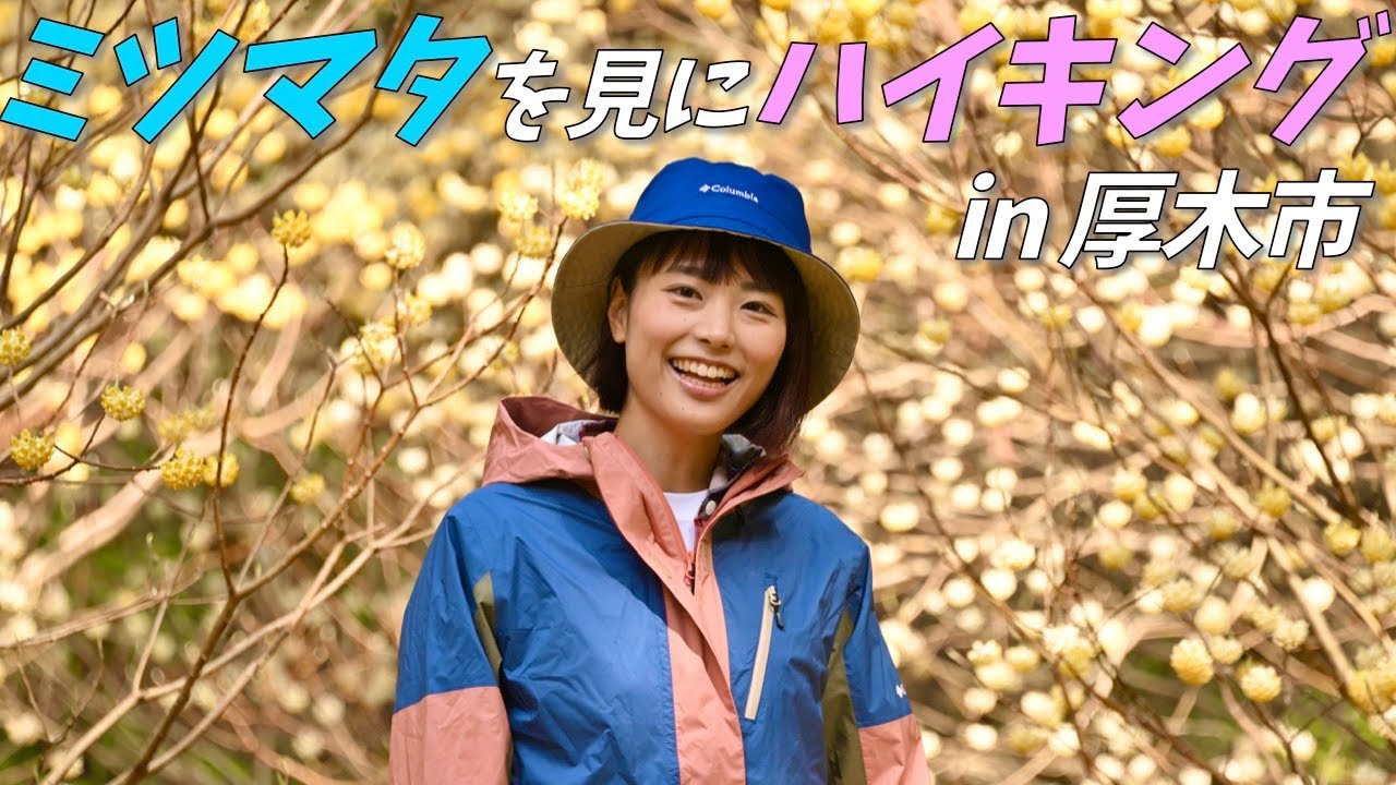 【関東ハイキング】圧巻のミツマタ大群生＆100年以上の歴史がある温泉宿に泊まる in 神奈川県厚木市