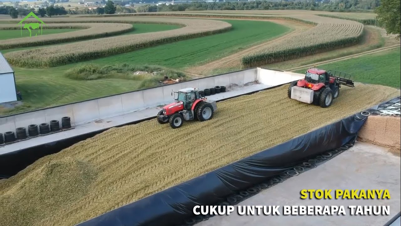 Melihat Teknologi Modern Pengolahan Pakan Ternak di Luar Negeri, Kita Pasti Bisa !!!