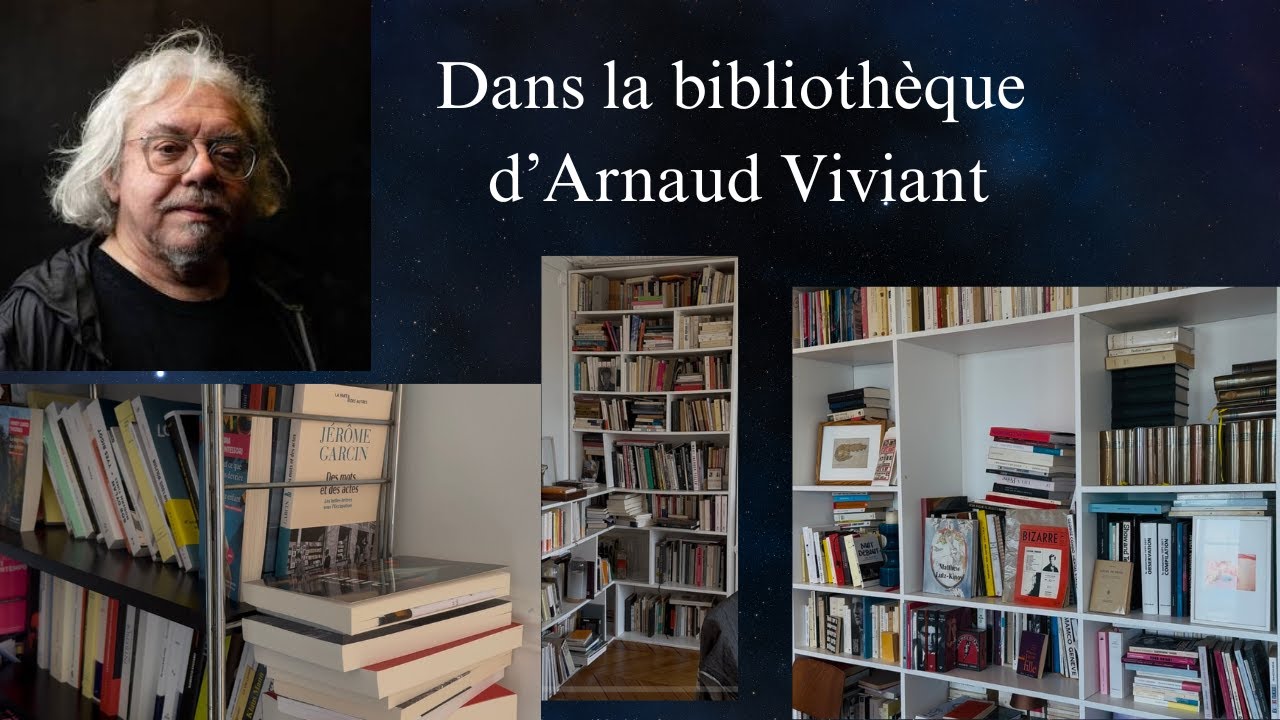 Dans la biblioth&egrave;que d'Arnaud Viviant