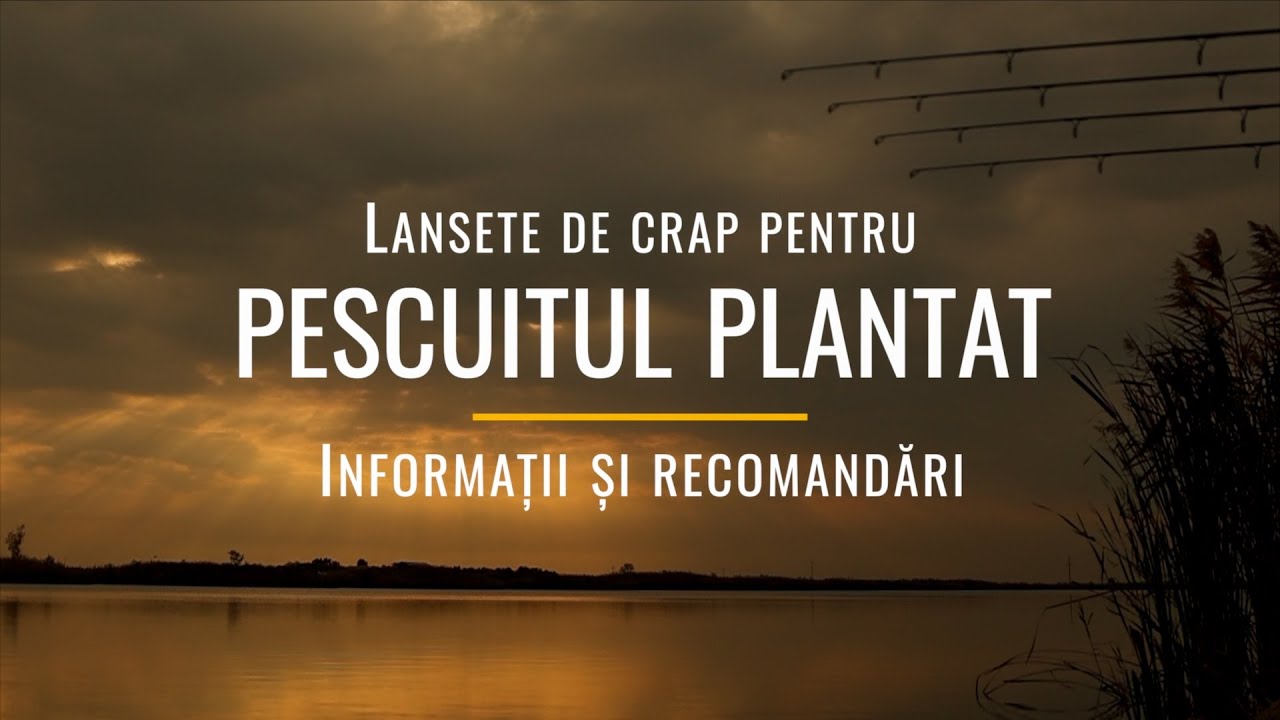 Lansete de crap pentru pescuitul plantat - specificații și recomandări