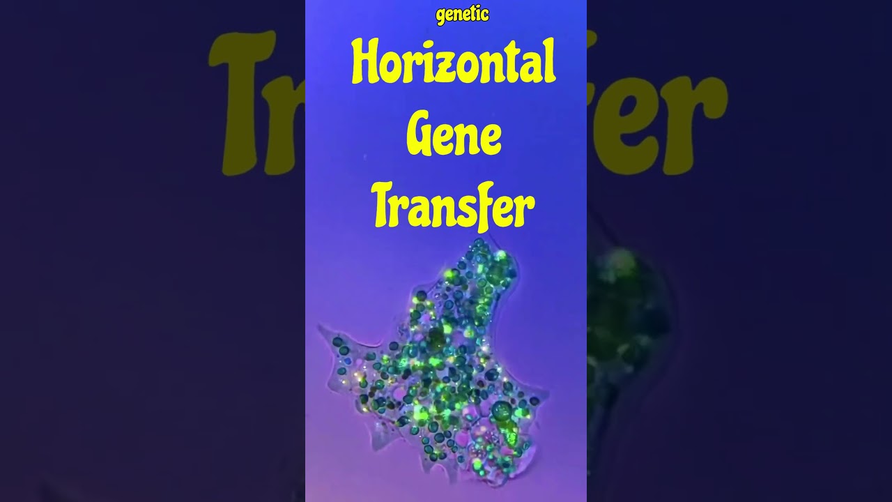 Prokaryotic Gene Transfer#genetransfer#prokaryoticcells #didyouknow #genetics#mutation#viralvideo