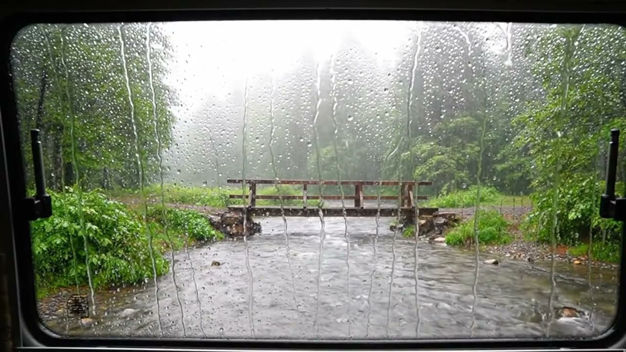 Rain on window (inside car / cabin feel), small wooden bridge, flowing stream, misty forest.