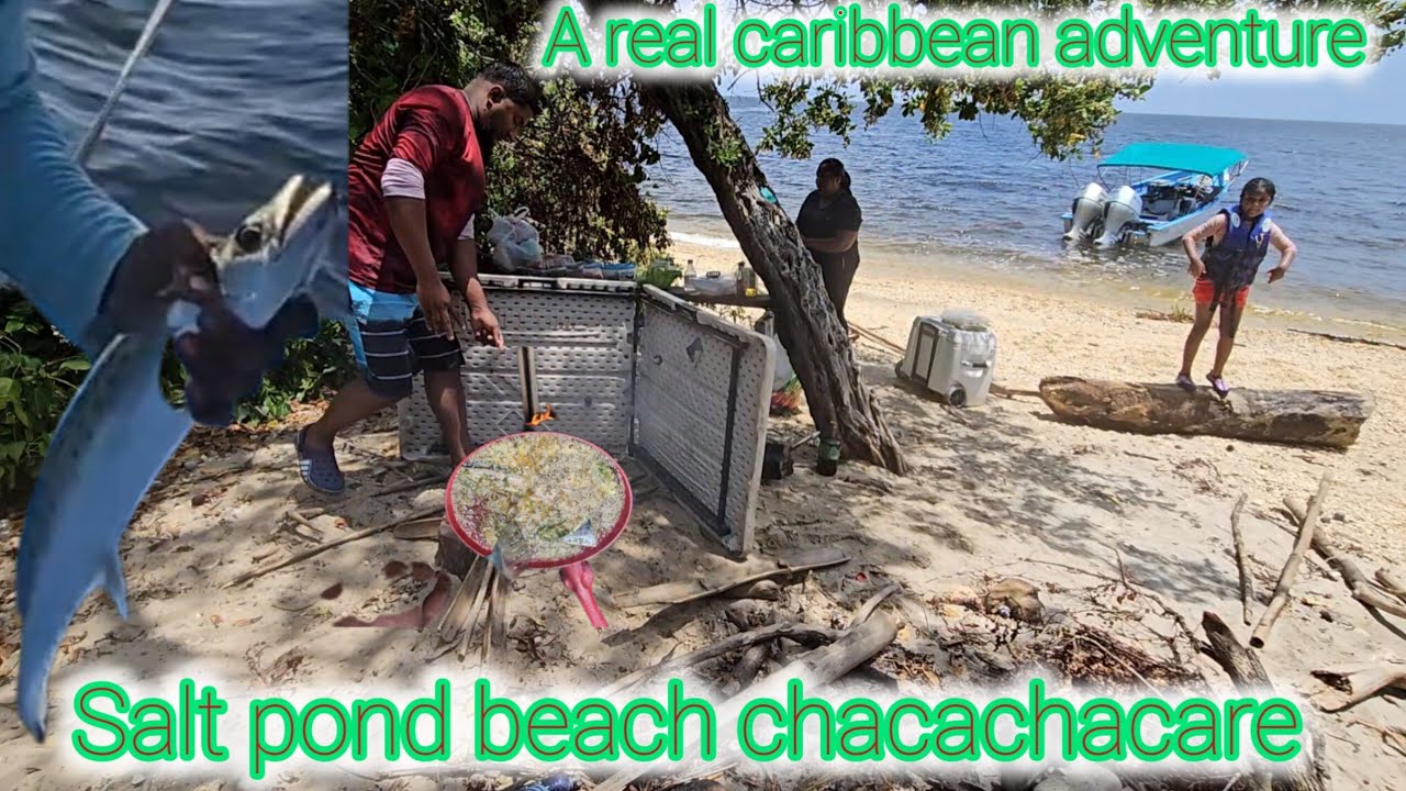 Epic catch clean & cook on a deserted island.