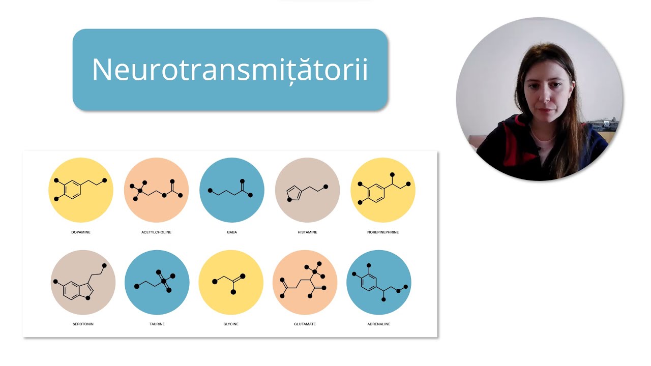 Neurotransmițătorii - Barron's - Admitere la Medicină