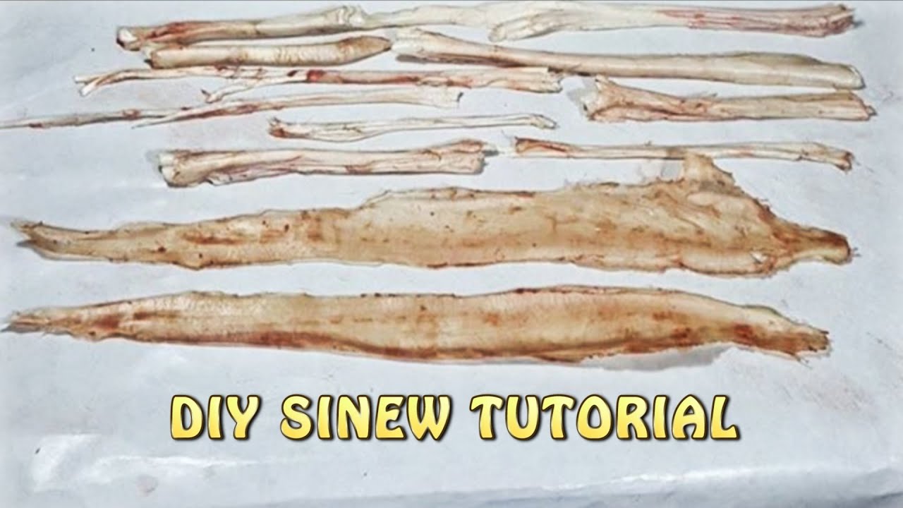 How to Harvest Sinew from a Deer