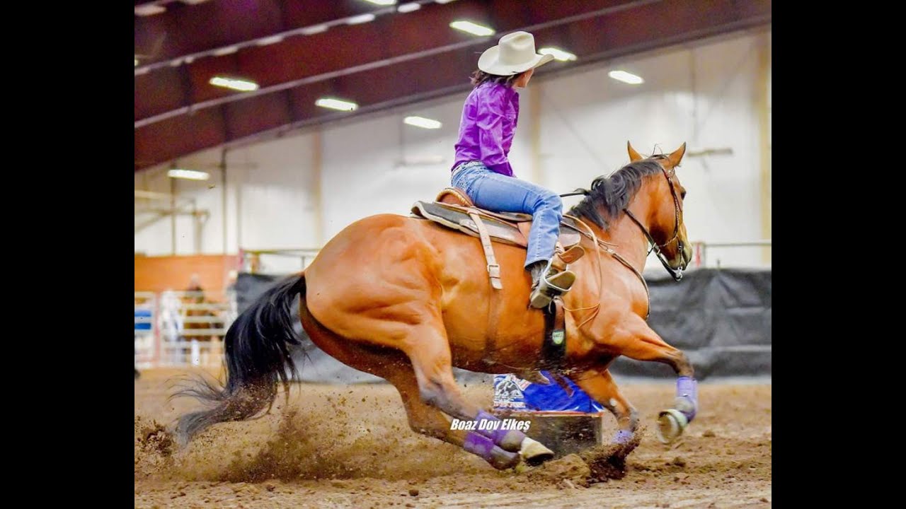 How to Start your horse on the Barrel Pattern!!! PART ONE!