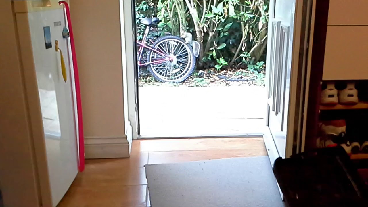 #funny# squirrel # animal #kiki.