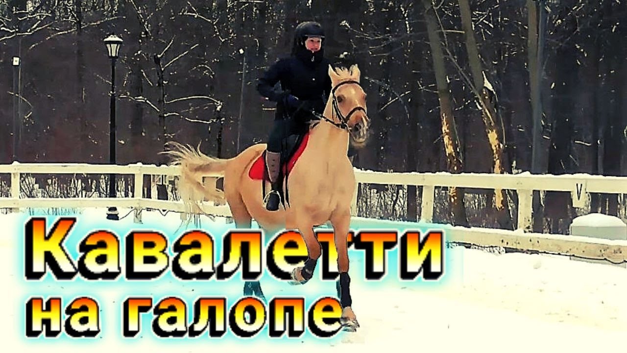 Проходим кавалетти на галопе