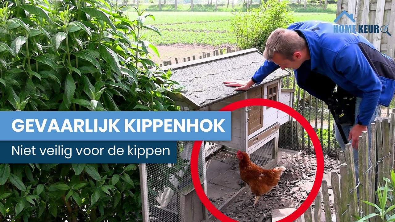 Bouwkundige Keuring van&hellip; een Kippenhok?! 🐔