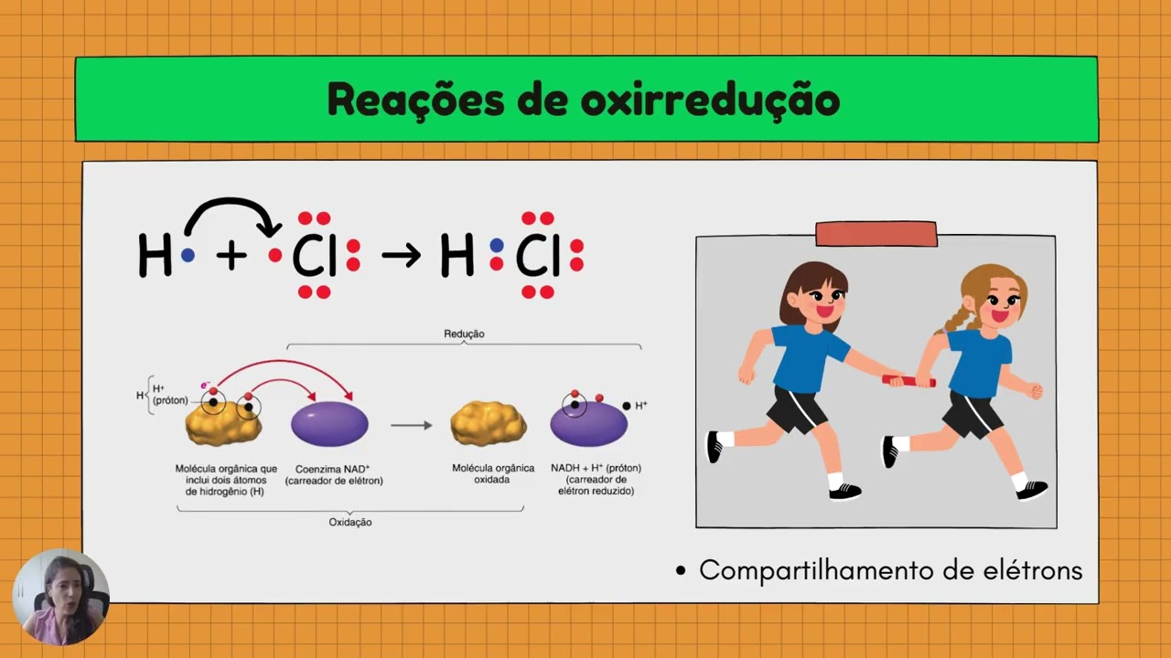 Aula 9   Bioenergética e Metabolismo