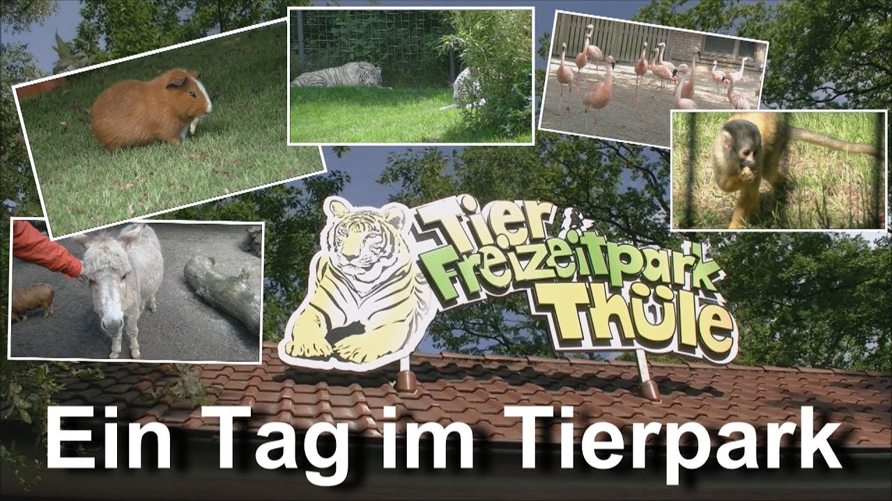 Tier und Freizeitpark Thüle  (Tierpark Impressionen) | Felix Unterwegs Folge 24 Teil 1 | 1080p HD