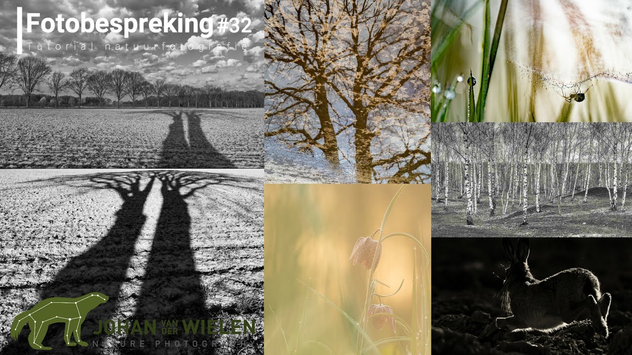 Fotobespreking #32 - artistieke natuurfotografie