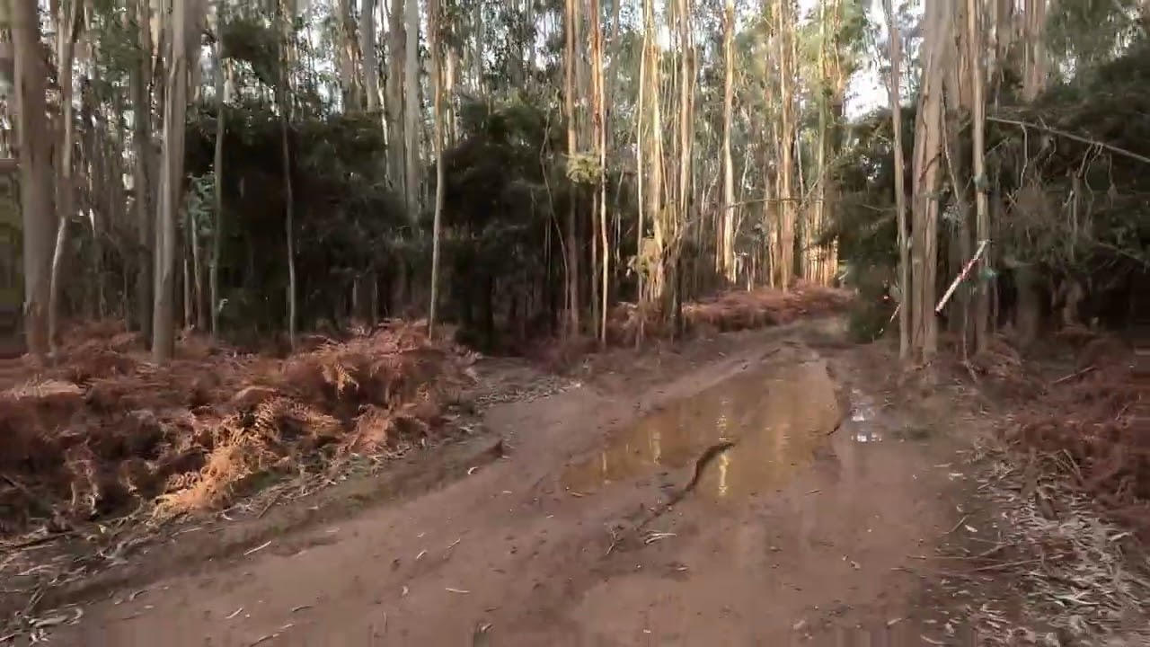 Ensaio para Rotas Da Porca 2026