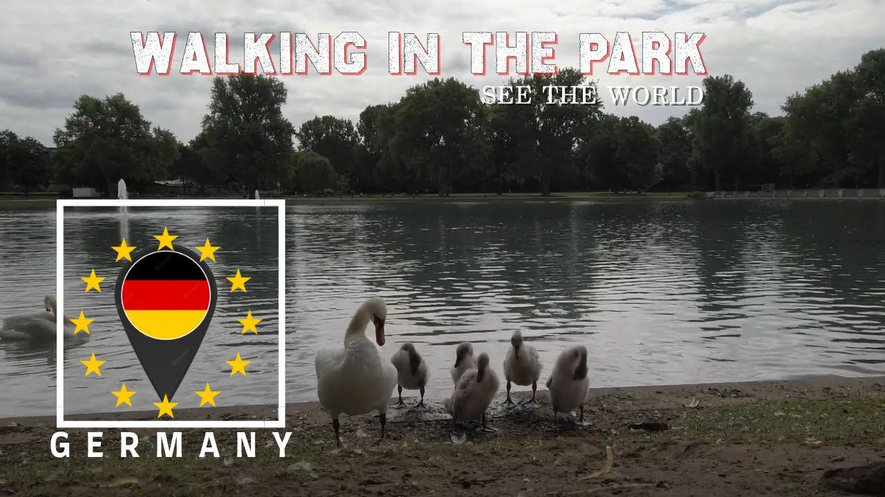 Relaxing Morning Park Walk in Koln🇩🇪Germany l Nature Sounds|Beautiful scenery 2022